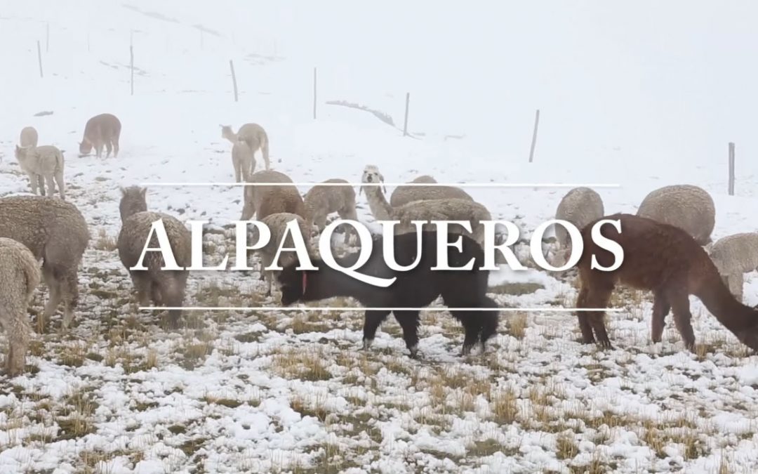 Formación para mejorar