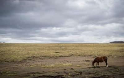 “Por un desarrollo sostenible con respeto a la Pachamama”