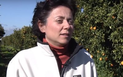 Una naranja… el comienzo de ‘Mecológico’, una historia de Buen Vivir