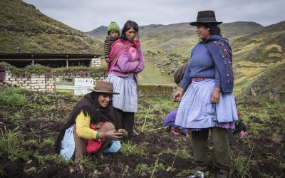 ¡Te contamos los proyectos de Madre Coraje aprobados en 2017 por la Junta de Andalucía!