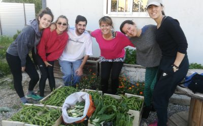 Ecohuertos Solidarios: Un proyecto social apoyado por BBVA mediante la concesión del Premio «Territorios Solidarios»