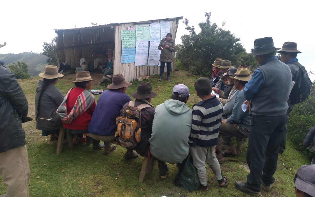 Apoyo a 45 familias en Perú frente a adversidades climatológicas