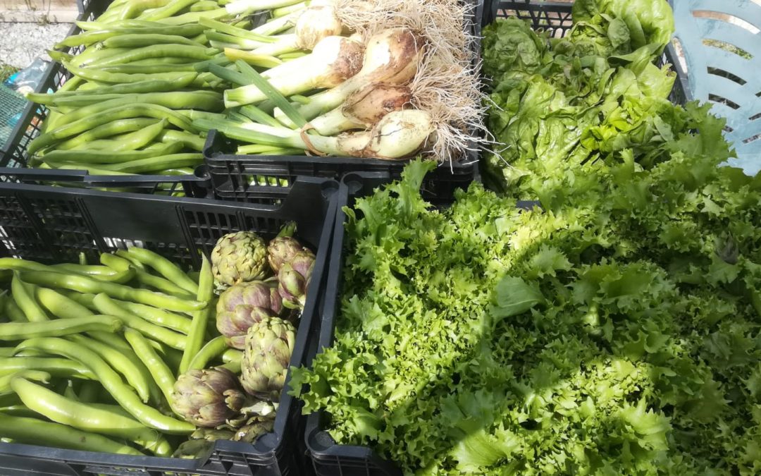 Reparto de alimentos y productos de nuestros Huertos Solidarios