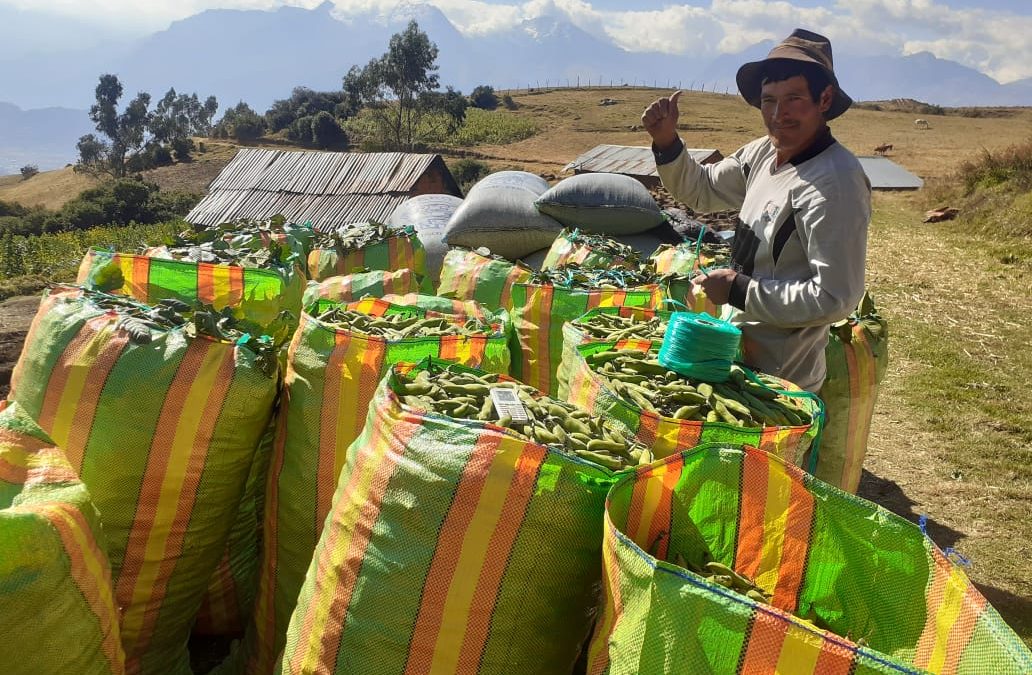 Madre Coraje y el Ayuntamiento de Málaga apoyan a 45 familias en Perú  a hacer frente a los desastres naturales