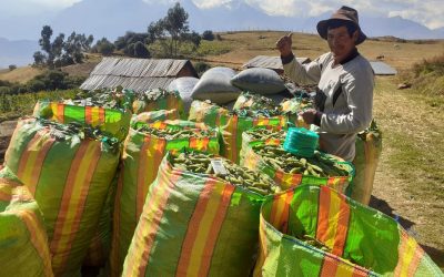 Madre Coraje y el Ayuntamiento de Málaga apoyan a 45 familias en Perú  a hacer frente a los desastres naturales
