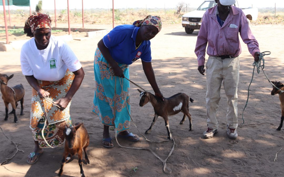 La iniciativa ‘Más que Palabras’ de Fundación Repsol