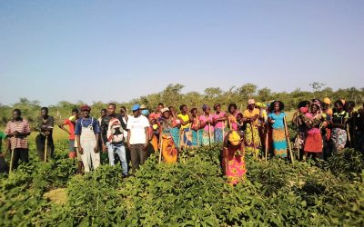 Más de 4.900 personas luchan en Mozambique contra la sequía apoyadas por Madre Coraje y la AACID