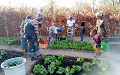 Madre Coraje y la AACID apoyan a dos distritos de Mozambique en materia de agua, alimentación y género