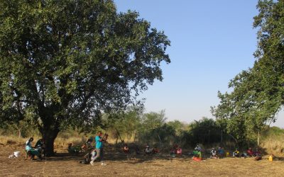 8.500 familias en Mozambique buscan mejorar su alimentación, acceso al agua y el manejo sostenible de sus recursos