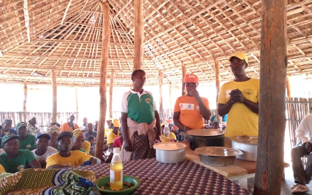 600 familias de 30 aldeas de Mozambique logran mejorar su alimentación, aumentar su renta y acceder a agua saludable