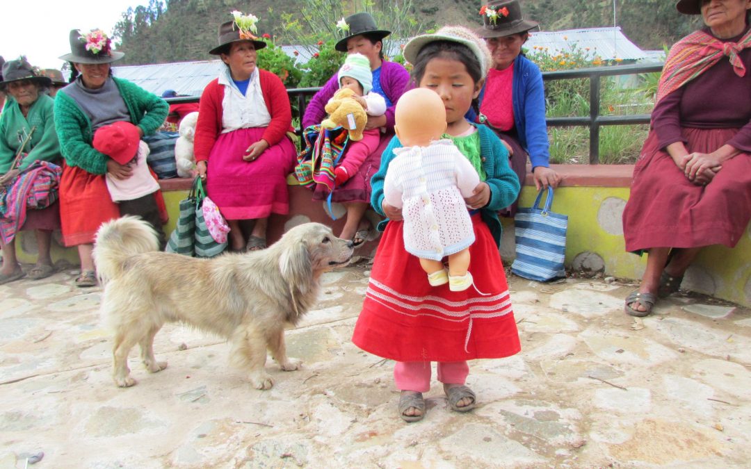Madre Coraje ha enviado en lo que va de año más de 12.000 kilos de material sanitario para combatir la Covid19 en Perú