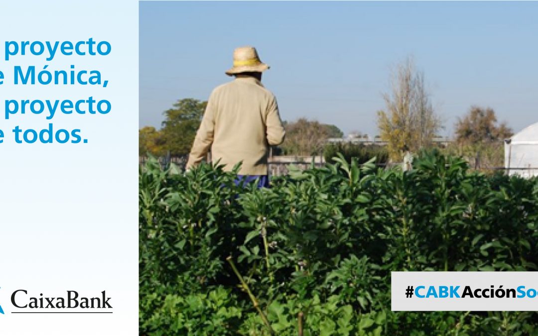 ¡Necesitamos la colaboración de trabajador@s de la Caixa!