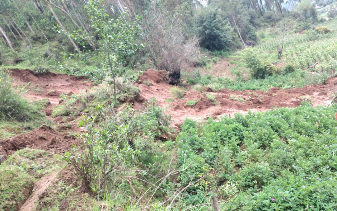 Prevención ante desastres en el Centro Poblado San Pedro de Chuparo