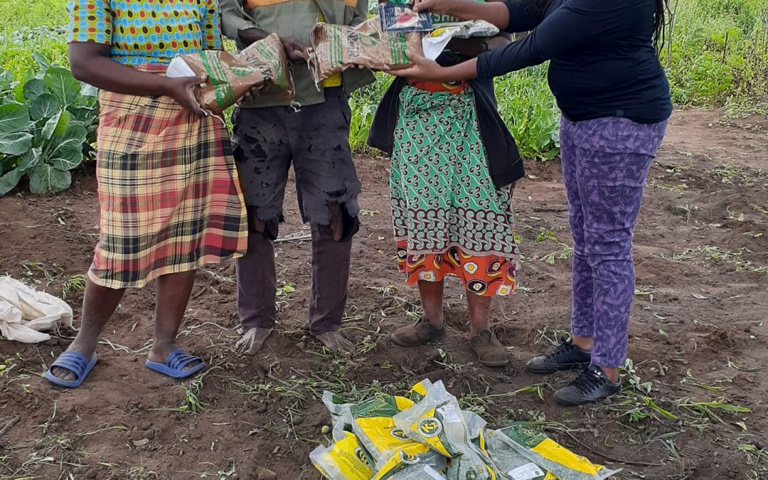 Resiliencia Namaacha