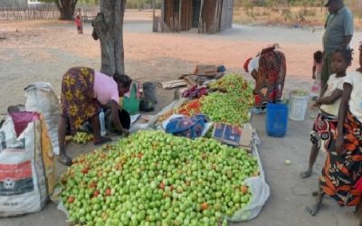 1.039 familias de Mozambique logran acceder a agua potable y a una alimentación segura