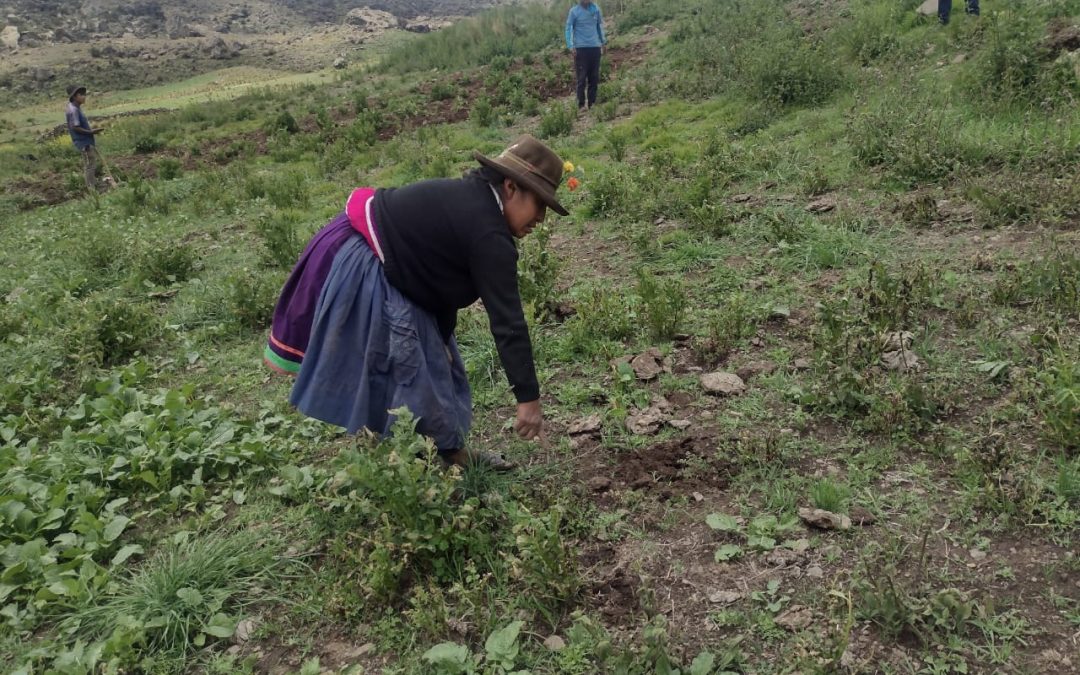 Madre Coraje y el Ayuntamiento de Cádiz apoyan a 30 familias peruanas ante las fuertes nevadas y las heladas