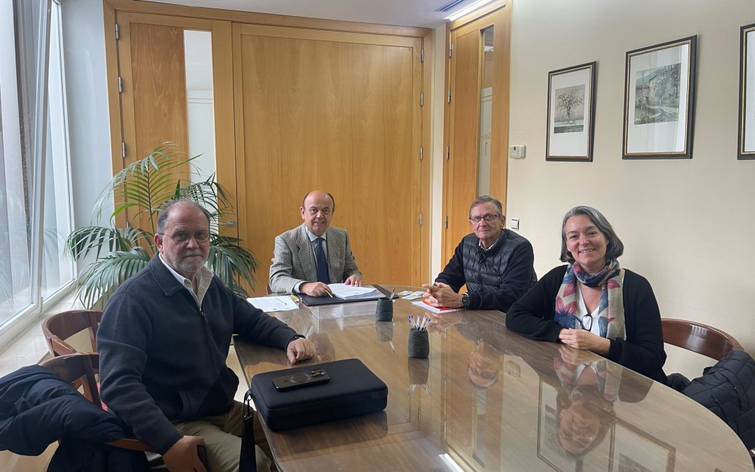 Cesión global de activos y pasivos de la Asociación Madre Coraje a Fundación Madre Coraje