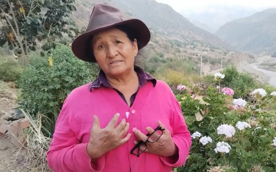 Susana Román