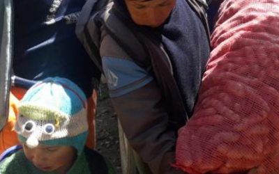 Familias y economía