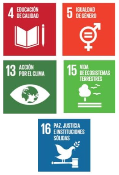 todas-las-justicias