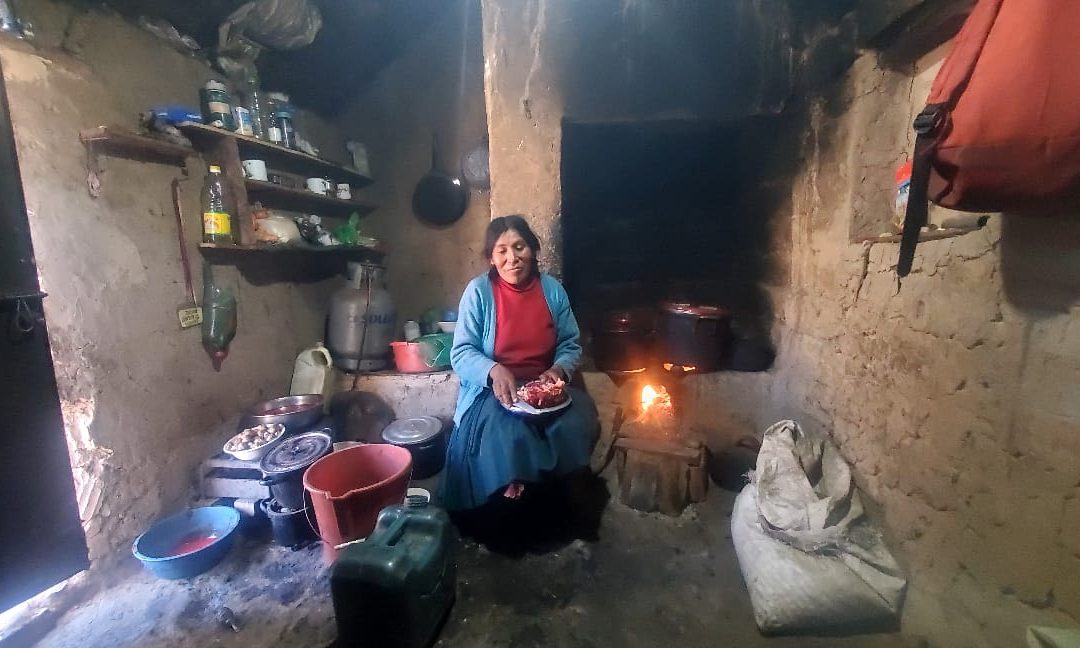 Fortaleza y Unión ante Desastres Naturales en la comunidad de Paro, Cuzco (Perú)