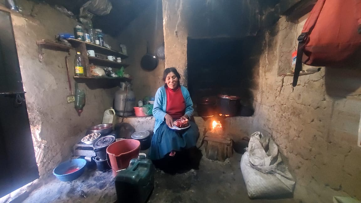 SEÑORA EN SU HOGAR ah51 madre coraje