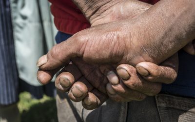 Medios de vida Angaraes (P180)
