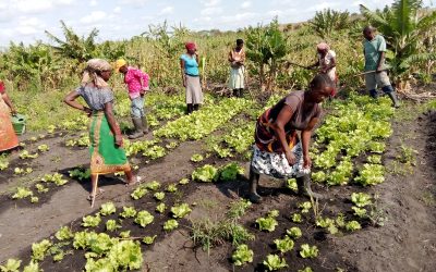 El Gobierno de Navarra y Madre Coraje apoyan a 14.000 personas en Mozambique