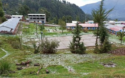 Casas y futuro (AH66)