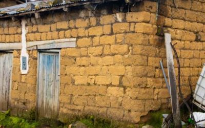 Resistir y Florecer en Huaraccopata (AH65)