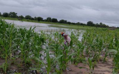 🔴Mozambique en alerta🔴