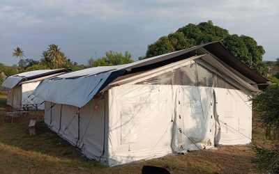 Avanzar tras la emergencia (AHM11)